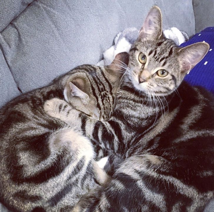 07cbb358ce9f51b03efa199a19