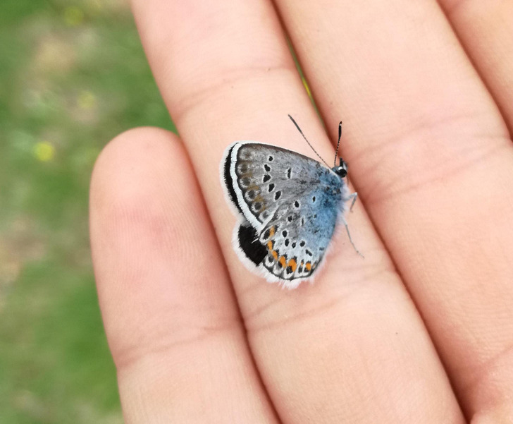 07d4c5589baaf139da9c1534c7