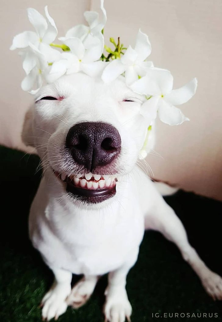 07e5125fb1a4abf7f9b2b6e71a