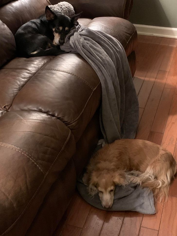 07e5e15190ba1f4f3ba13085eb 07e5e15190ba1f4f3ba13085eb