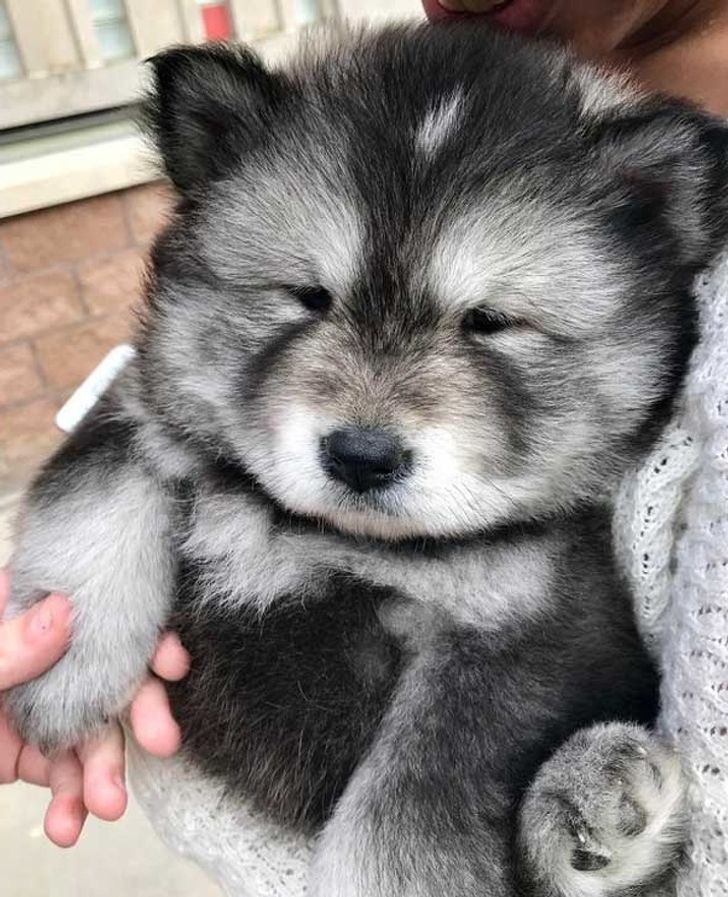 07e63b5162af8a9b091eaea52b