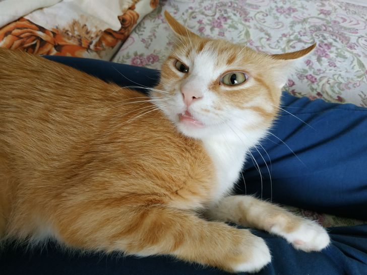 07e75f5c33898fb37e805bb069