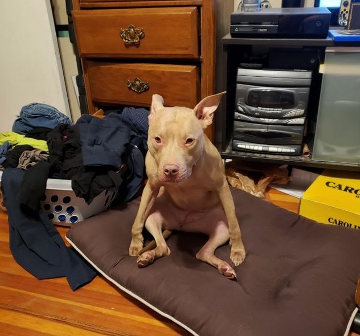 07e7845d33a0809f219c7989b2