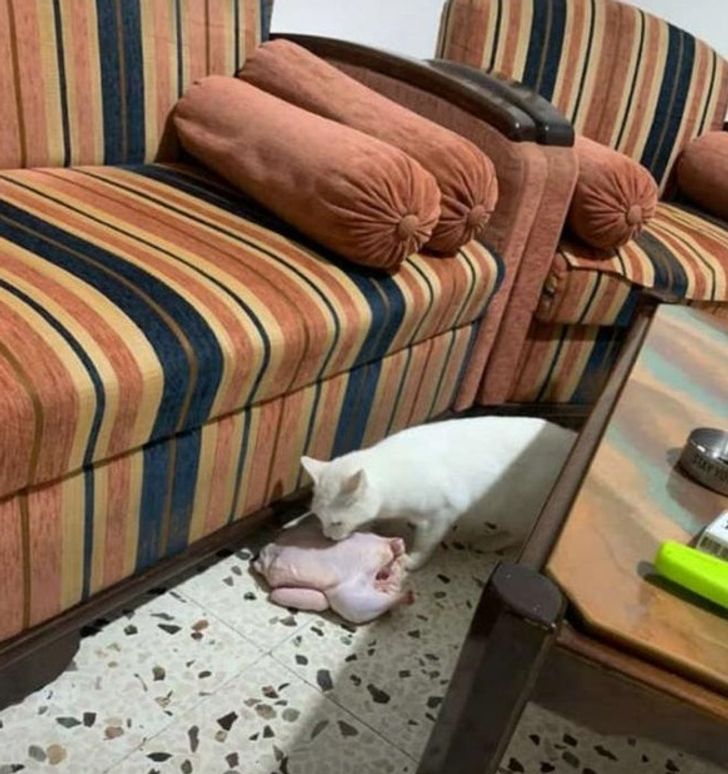 07ee805ff2a789ab8509f63551