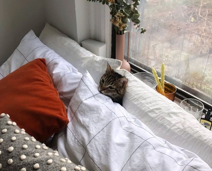 07f2be5745ac97d4cebb1a09f6