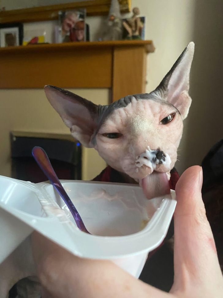 07f3245621aa51a628620924ae