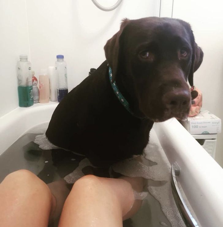 07f3b55687acb2401b922d7d08