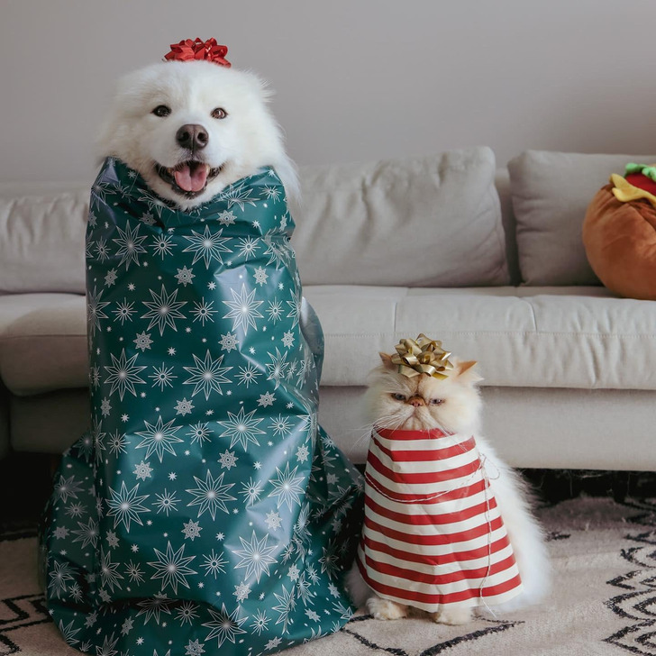 07f5fe5f85a1d9baeea718178a