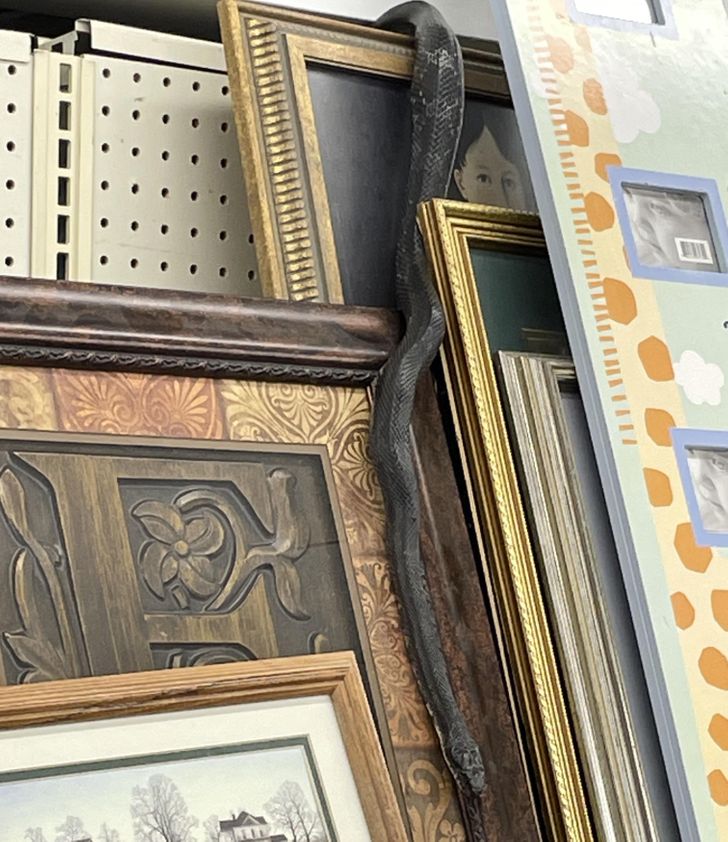 07f85053789cb7fe41963a53f1