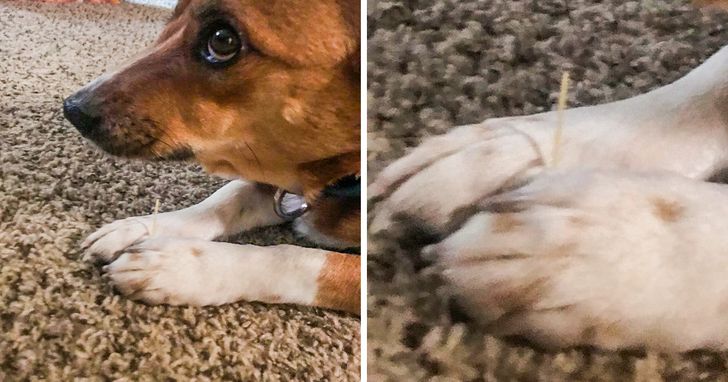 0805155d0c8c5cc22516506155