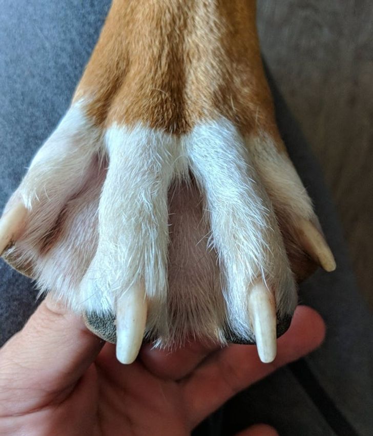 0808b5592d9d2b27b05855e699