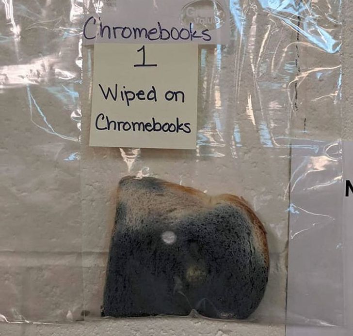 08114156ab8374b4730ad5ec52 08114156ab8374b4730ad5ec52