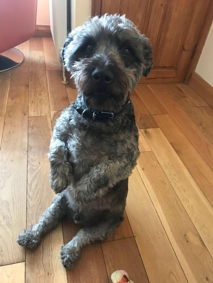 08212e5bca8d68439d7409a33b