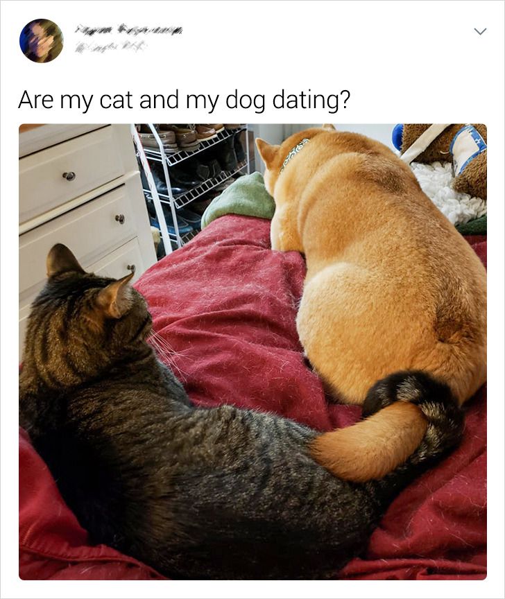 0831a8545dbc9f04f487aced11