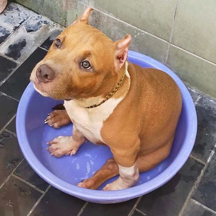 083314598184352a624bdfcdcc