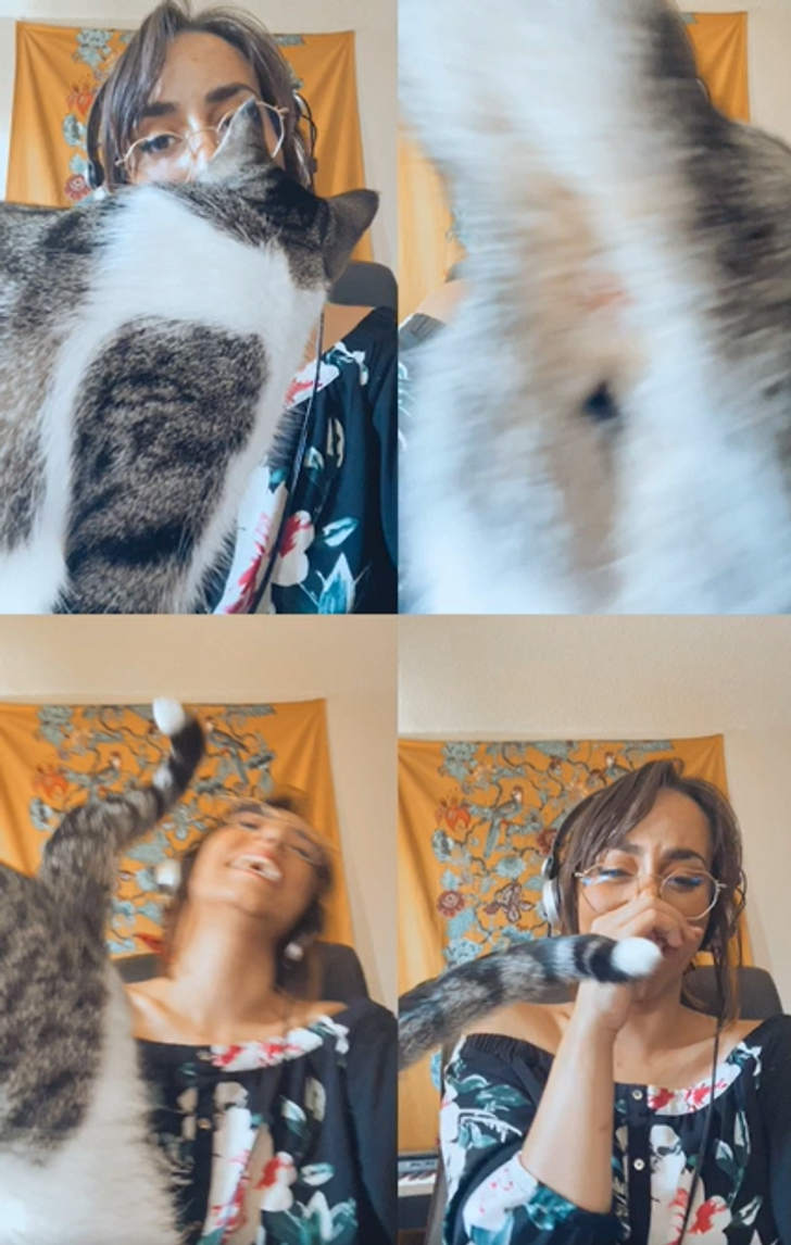 08376f52f39eb12b5945065a9a