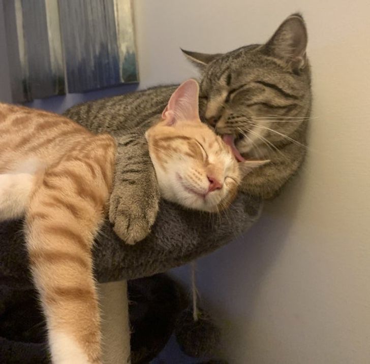 0839475529a9da504cc17cc3ba