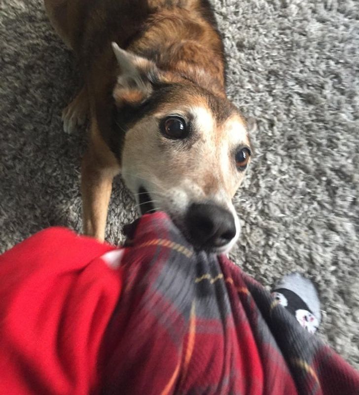 08398451b28f1536b99abc34e3