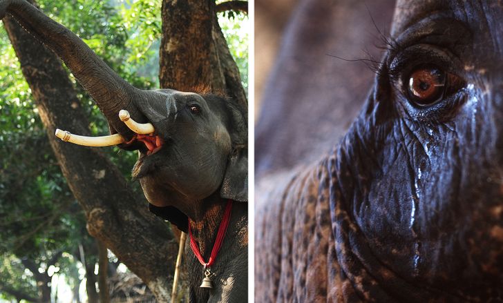 083e8757bfa61e69bc6e2e8b14