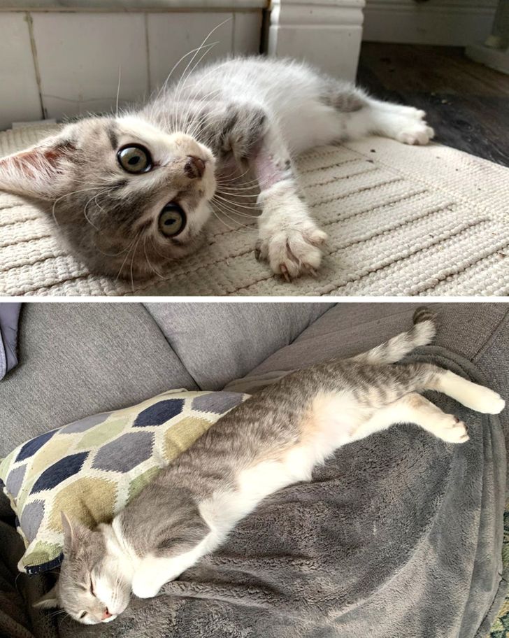 08407d5793866c57019bc15287