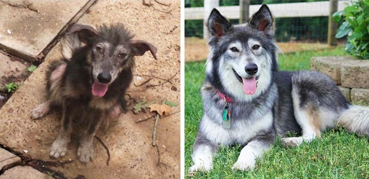 08430e5339960680583bbadd3f