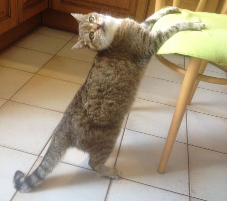 084870558ca757c1b61c2e19c8