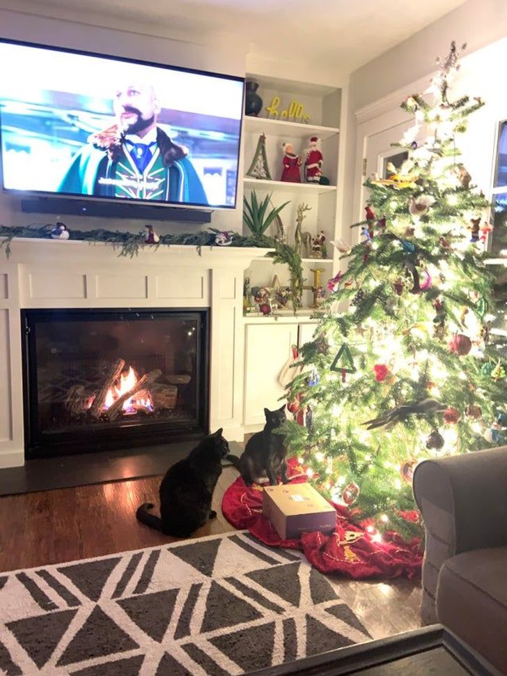 0852d6596893cd73c30c24706c