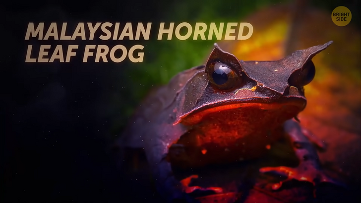 0854445515b90acae555d1ef3c