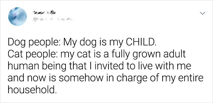 08616f5197bad748e39827c43c