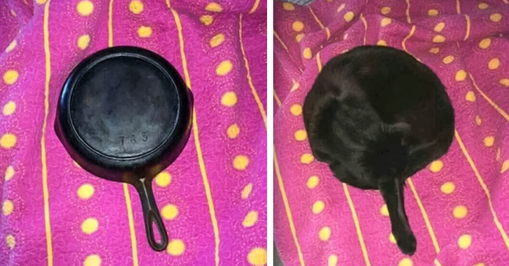 0866545cbe96f8b5fa64bc7028