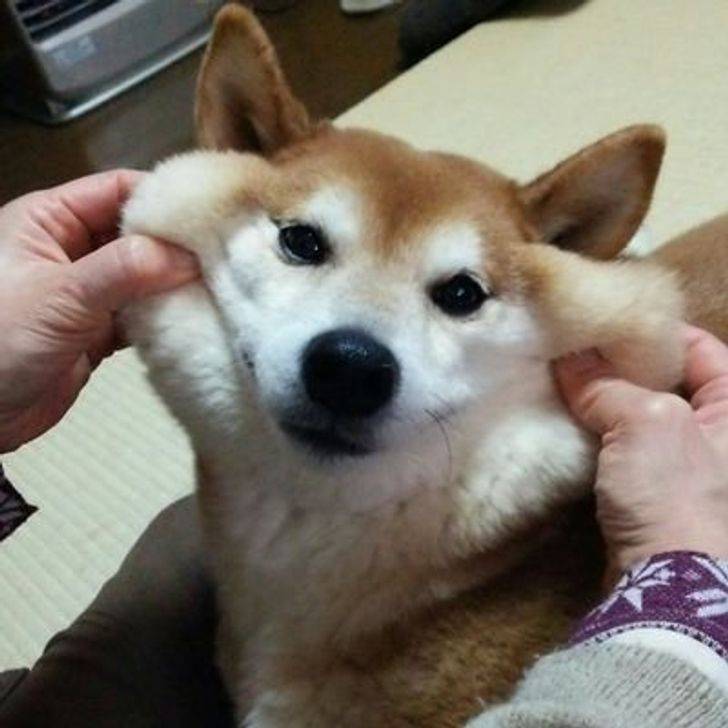 0870c550eebfd22fb497ab07f3