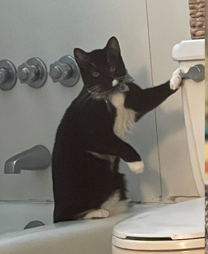 0879905bf2bd435b84a6d5cf80