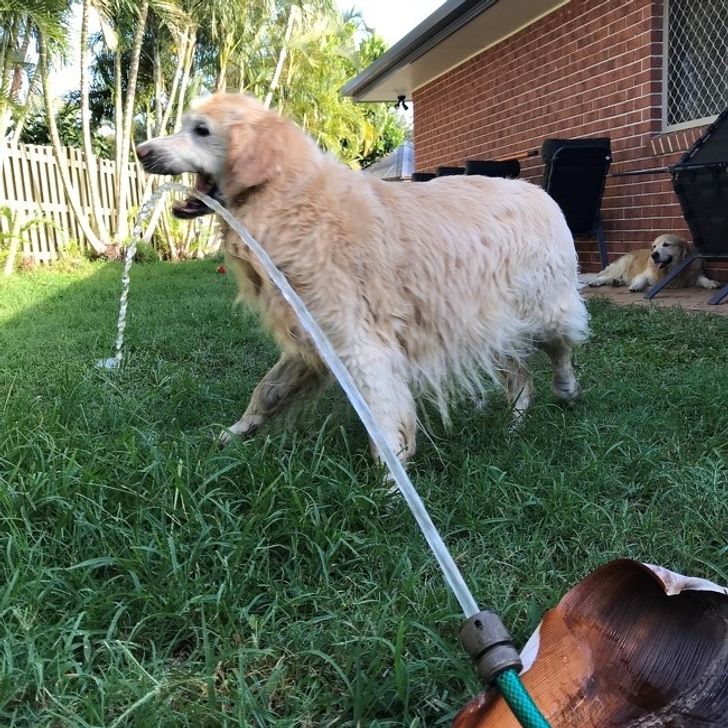 08878654c2b46bd36b2378fb23 08878654c2b46bd36b2378fb23