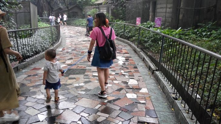 088fec5f32ac4a8f46e5bd44b4