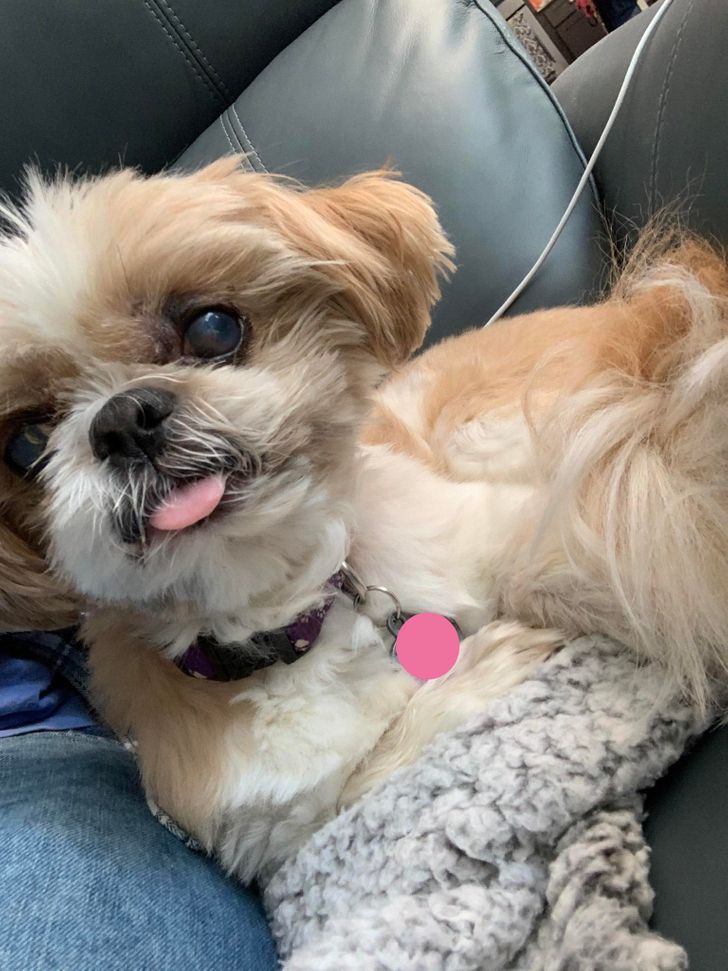 08924e56ea801f6255cc3bee3b