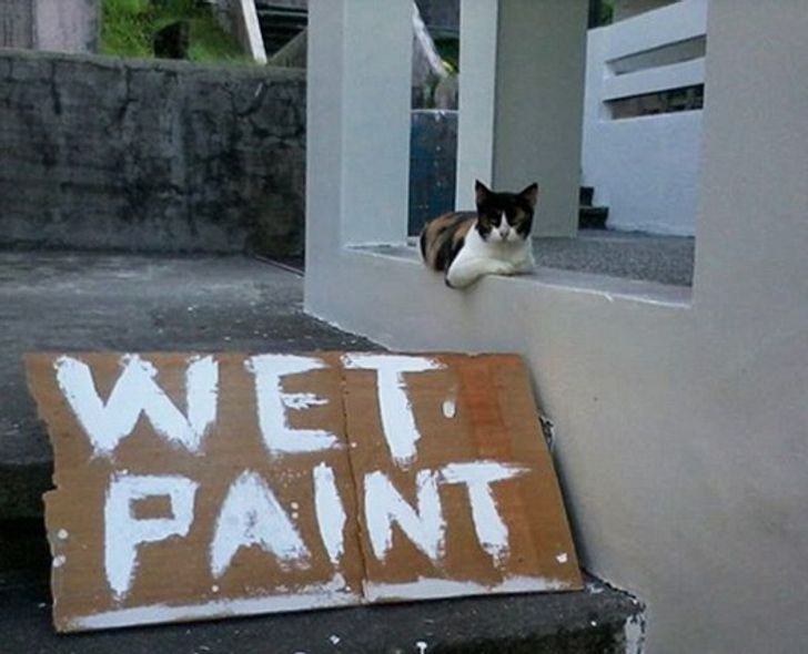 0898f350a48b77ec650f9aec9a