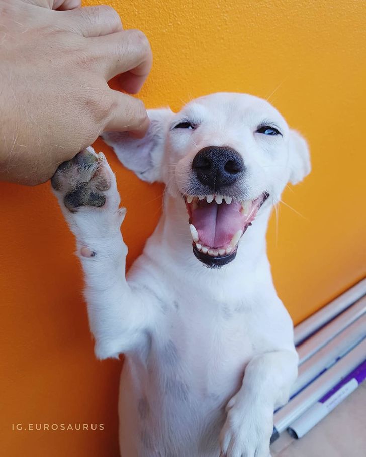 089b115009bb0581dc2aeef801