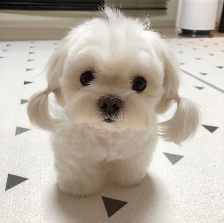 089d5552b3a76eae2bd49da685