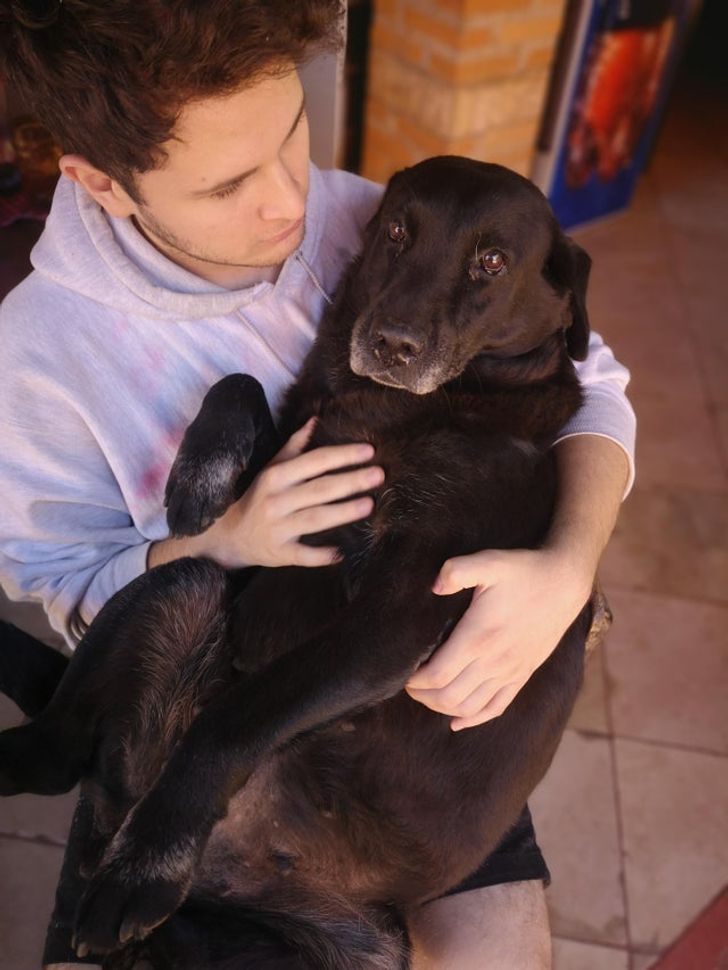 089e095ddbb6e943d34db081b3