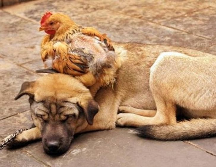 08a1a5559089d08a8ea640590e