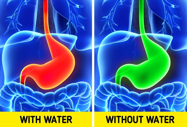 08a2d85947ae9a42a9612a266f