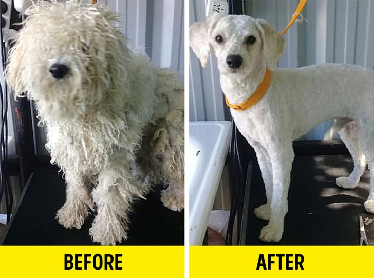 08a603522e93f3e990aea455bc