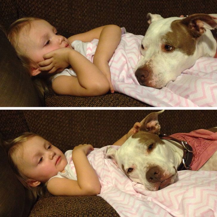 08b5ea5dd3b7111619dc094e52