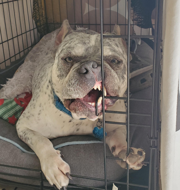 08b66b5d5b911e63901d5d589f 08b66b5d5b911e63901d5d589f