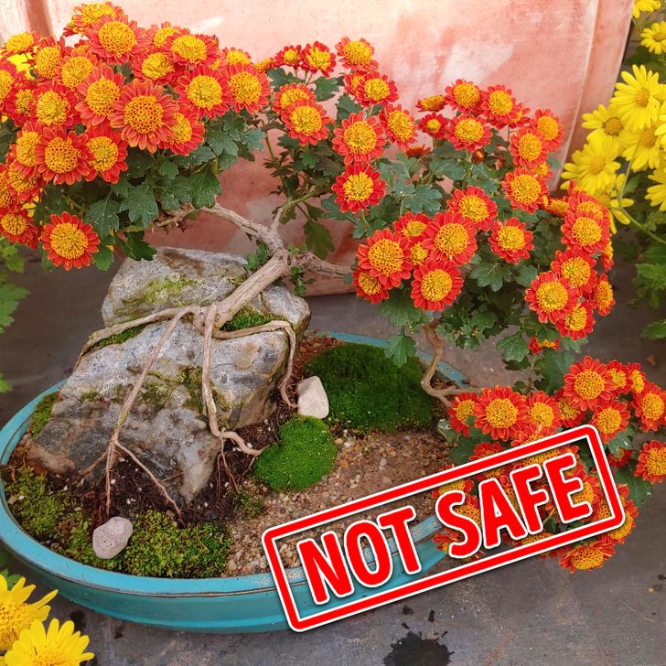 08c1ac5a7cb186b4ec1b6ef73d