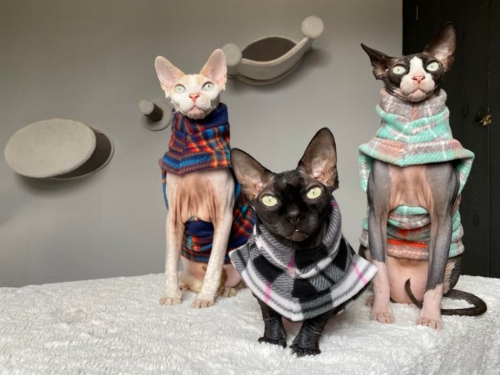 08c2cb502aaf8b651b95d3bc95