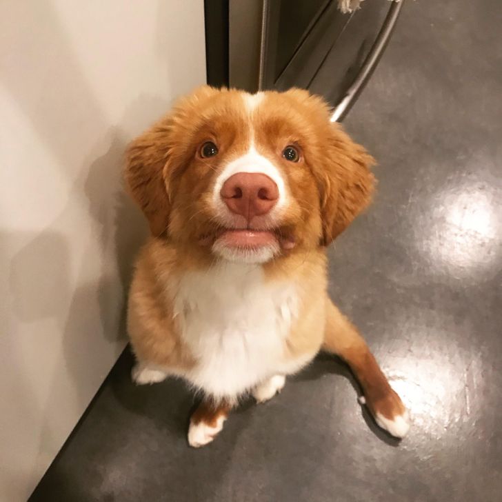 08c4ec5e0c923088207301e9cf