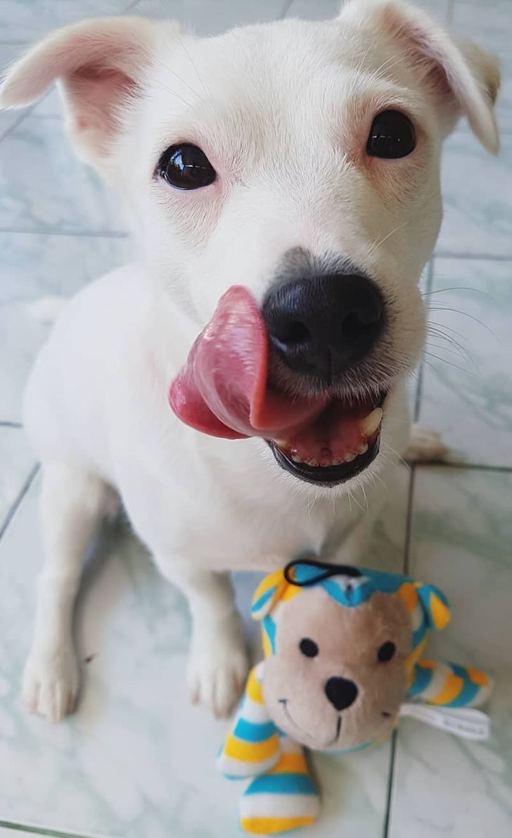 08caba50358e1afdce618ff810