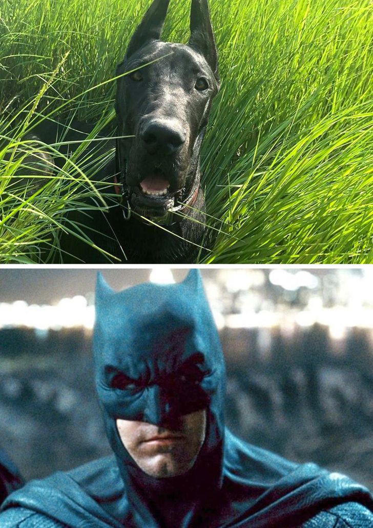 08d12251c19f6b1a75cc20b280