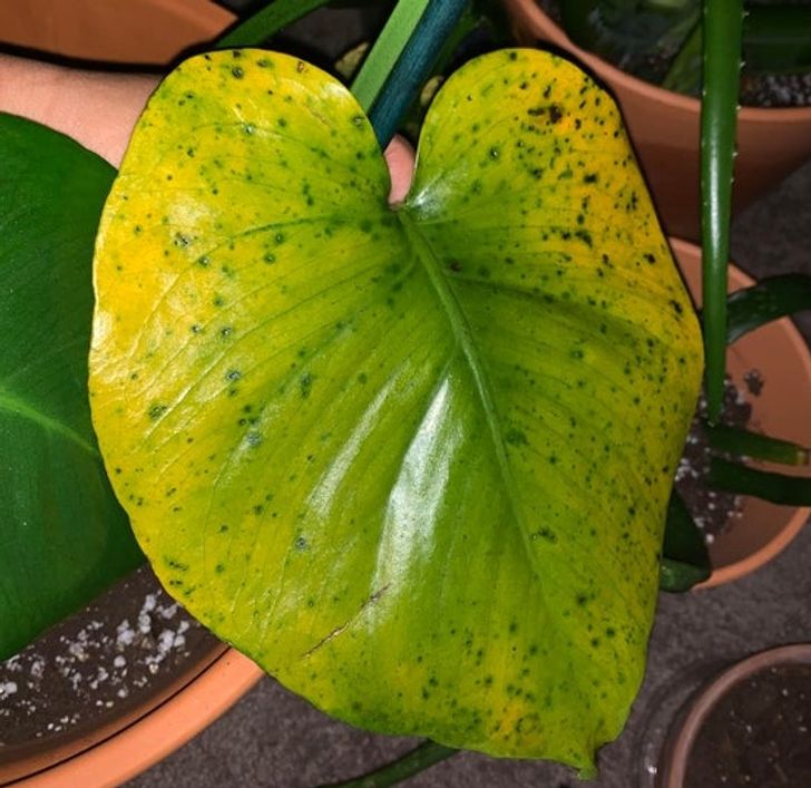 08d7fe5d56818058a258e4bde7